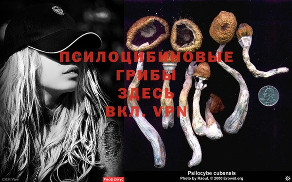 гашик Алзамай