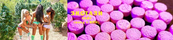 ГАЛЛЮЦИНОГЕННЫЕ ГРИБЫ Алексеевка